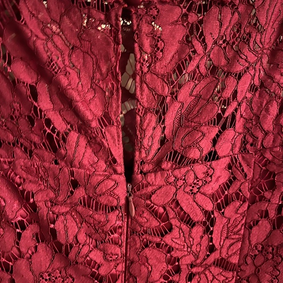 Eliza J Fit and Flare Lace Dress - Pretty Burgundy shade. - Picture 6 of 9
